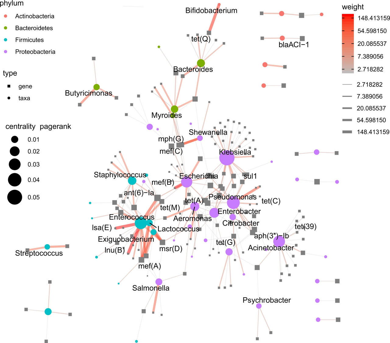 Global Surveillance Network